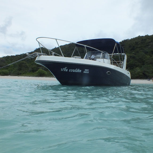 vip speedboat tour