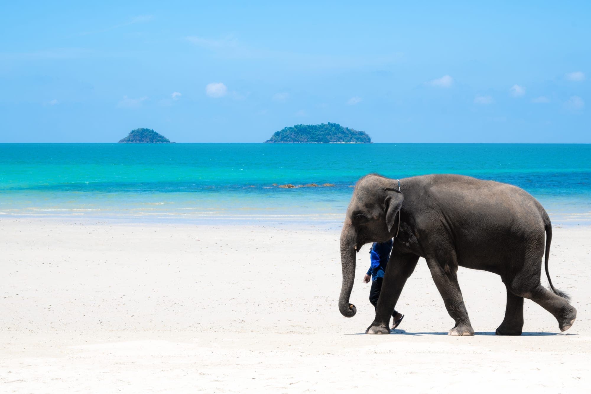 Koh Chang - Mainland photo 1